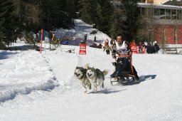 San Bernardino 2008